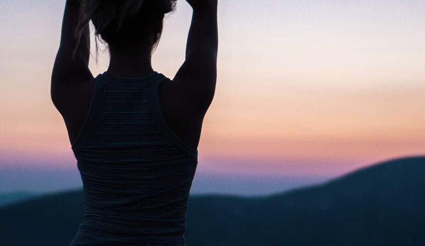 El cerebro en nuestro equipo